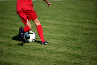 星空体育最新官网-中国篮球职业联赛俱乐部青训体系建设与实践探索，篮球青年训练营