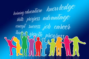 星空入口官网-中国篮球职业联赛品牌战略及市场推广研究，中国的职业篮球联赛